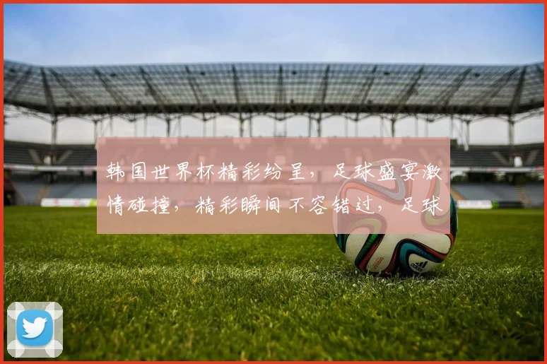 韩国世界杯精彩纷呈，足球盛宴激情碰撞，精彩瞬间不容错过，足球迷必看