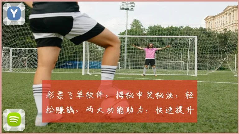 彩票飞单软件，揭秘中奖秘诀，轻松赚钱，两大功能助力，快速提升中奖率
